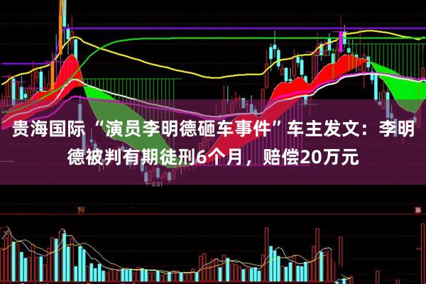 贵海国际 “演员李明德砸车事件”车主发文：李明德被判有期徒刑6个月，赔偿20万元