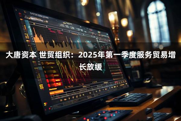 大唐资本 世贸组织：2025年第一季度服务贸易增长放缓