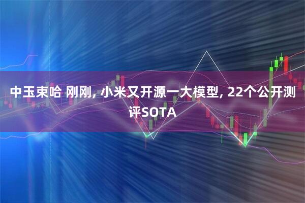 中玉束哈 刚刚, 小米又开源一大模型, 22个公开测评SOTA