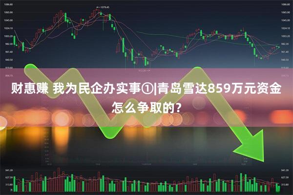 财惠赚 我为民企办实事①|青岛雪达859万元资金怎么争取的？
