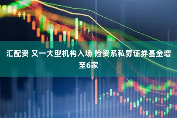 汇配资 又一大型机构入场 险资系私募证券基金增至6家