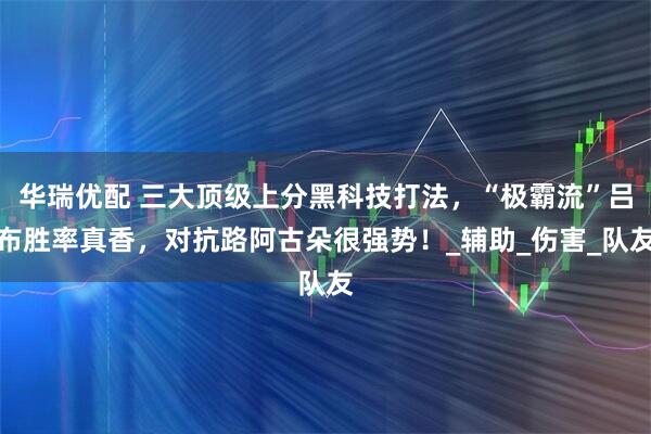 华瑞优配 三大顶级上分黑科技打法，“极霸流”吕布胜率真香，对抗路阿古朵很强势！_辅助_伤害_队友