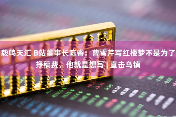 毅鸣天汇 B站董事长陈睿：曹雪芹写红楼梦不是为了挣稿费，他就是想写 | 直击乌镇