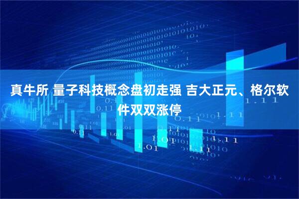 真牛所 量子科技概念盘初走强 吉大正元、格尔软件双双涨停