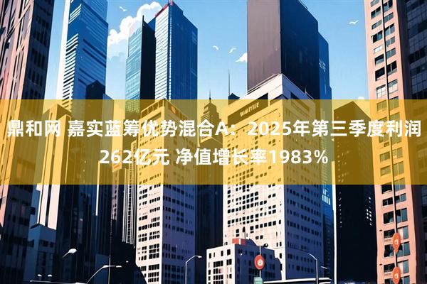 鼎和网 嘉实蓝筹优势混合A:2025年第三季度利润262亿元 净值增长率1983%