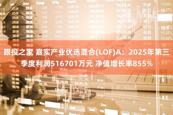 跟投之家 嘉实产业优选混合(LOF)A:2025年第三季度利润516701万元 净值增长率855%
